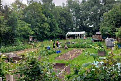 Im Garten von Theos Wiese lernen Schüler, wie sich Obst und Gemüse anbauen lassen.