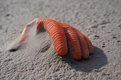 Am Samstag, dem 21. September wird der Strand von Müll befreit.