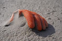 Am Samstag, dem 21. September wird der Strand von Müll befreit.