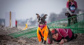 Die beeindruckende Kulisse der winterlichen Ostsee, gepaart mit anspruchsvollen Strecken, begeistert Teilnehmer und Zuschauer gleichermaßen.