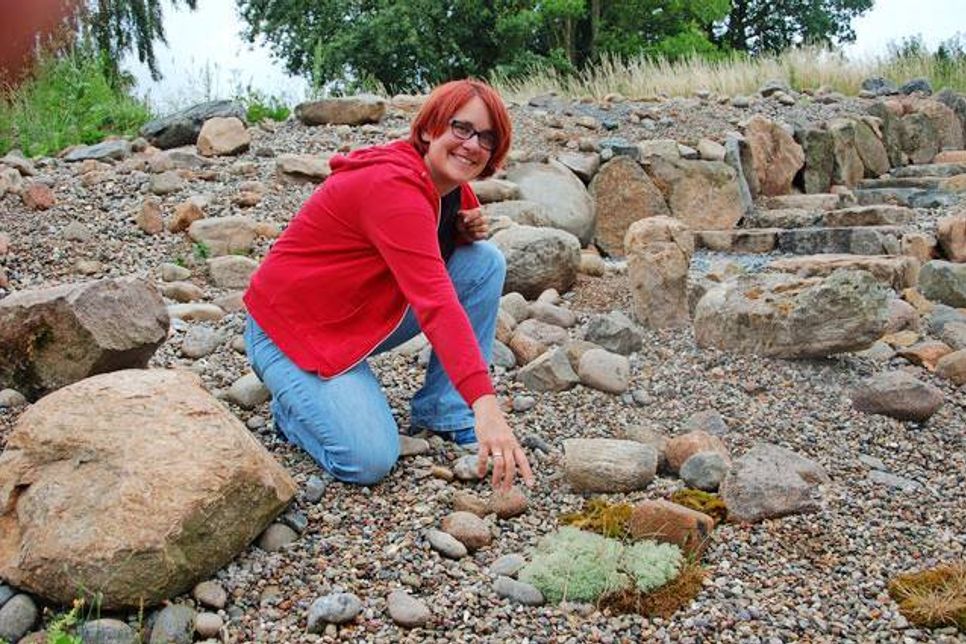 Dr. Vera Laurenz – Heuser inspiziert ihren neuen Steingarten am Eiszeitmuseum.