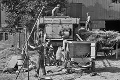 Dreschen bei Stoltenberg, 1939.