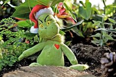 Der Grinch will Weihnachten sabotieren.