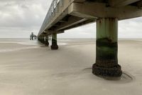 An den Pfeilern der Grömitzer Seebrücke war besonders gut zu erkennen, wie weit das Wasser normalerweise reicht