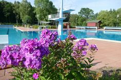 Das Waldschwimmbad Lensahn ist idyllisch direkt am Mühlenteich gelegen.