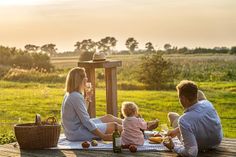 Picknick unter freiem Himmel mit Livemusik.