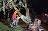 Entwurzelte Bäume wurden der Feuerwehr teilweise im Minutentakt gemeldet.