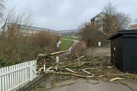Sturmschäden bei der Schön-Klinik.