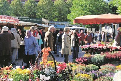 Neustadt. Während des Europäischen Folklore-Festivals, das vom 25. Juli bis zum 2. August in Neustadt stattfindet, zieht der Wochenmarkt auf den Klosterhof um.
Betroffen sind die Markttage:
- Dienstag, 22. Juli 2025
- Freitag, 25. Juli 2025
- Dienstag, 29. Juli 2025
- Freitag, 1. August 2025
- Dienstag, 5. August 2025
Die Öffnungszeiten des Wochenmarktes sind wie gewohnt dienstags und freitags von 8 bis 13 Uhr. Die Neustädter Wochenmarkt Händlerinnen und Händler freuen sich, wenn „ihre“ Kundinnen und Kunden ihnen auch am Klosterhof die Treue halten. Parkplätze in unmittelbarer Nähe befinden sich entweder am Klosterhof, am Binnenwasser oder auf dem Parkplatz „P5“ (ehemaliges Stadtwerkegebäude). (red)