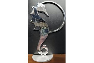 Der Gewinner oder die Gewinnerin darf sich auf den Pokal freuen, ein silbernes Seepferdchen.