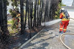 Die Feuerwehr löschte einen Heckenbrand in Scharbeutz.