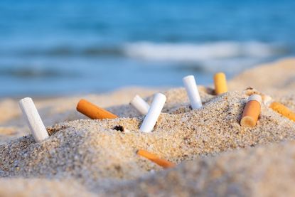 Trotz kostenloser Strandaschenbecher sind an den Stränden nach wie vor Kippenstummel zu finden. (Symbolbild Adobe Stock)