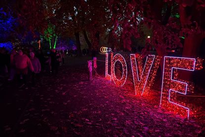 In Grömitz lag nicht nur Licht, sondern auch Liebe in der Luft.