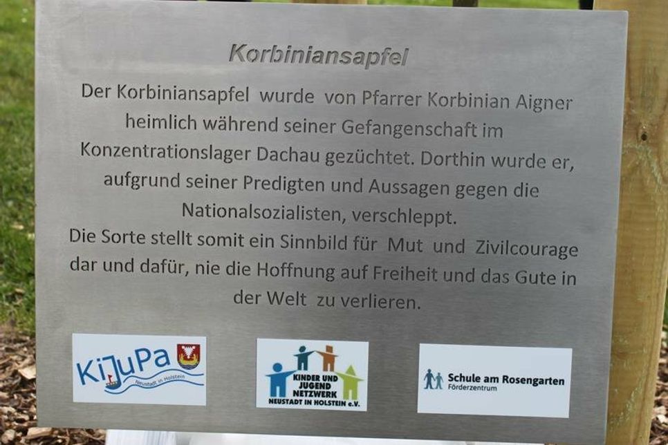 Die vom KJN gestaltete Gedenktafel informiert über die Bedeutung der Apfelbäume.
