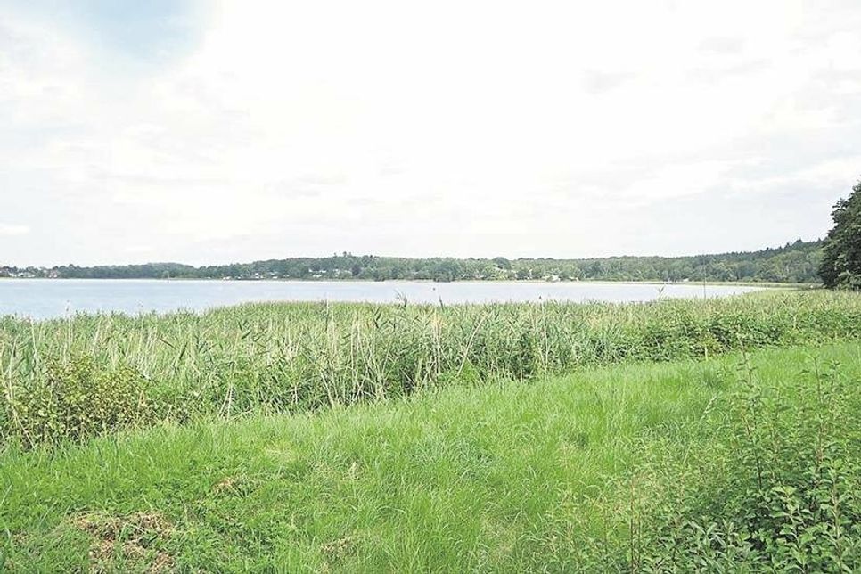 Klingberg ist eine Dorfschaft der Gemeinde Scharbeutz und liegt direkt am Pönitzer See.