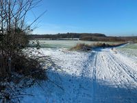 Tourentipp Röbeler Moor.