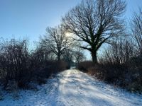 Tourentipp Röbeler Moor.