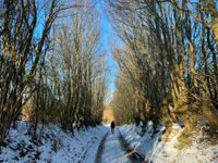 Tourentipp Röbeler Moor.