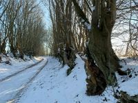 Knicks und Redder machen den besonderen Charme der Landschaft aus.