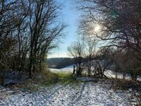 In dem lichten Waldstück kann man immer wieder die Sonne und tolle Ausblicke genießen.