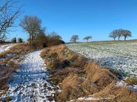 Tourentipp Röbeler Moor.