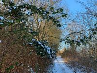 Tourentipp Röbeler Moor.