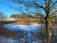 Ein kleiner Weiher am Wegesrand.