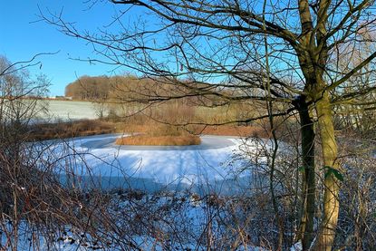 Ein kleiner Weiher am Wegesrand.