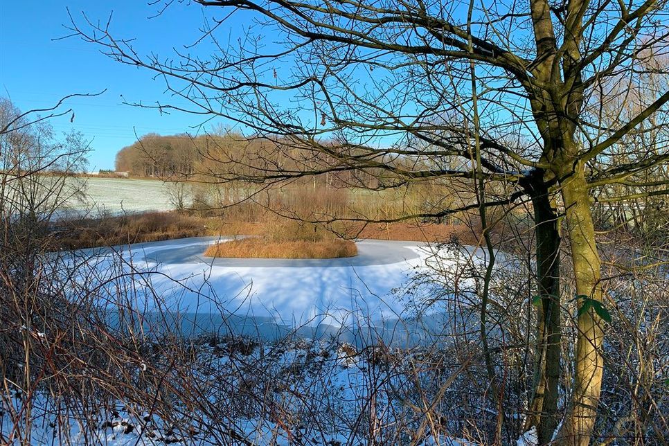 Ein kleiner Weiher am Wegesrand.