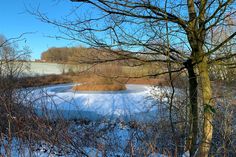 Ein kleiner Weiher am Wegesrand.
