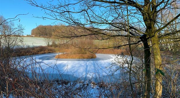 Ein kleiner Weiher am Wegesrand.