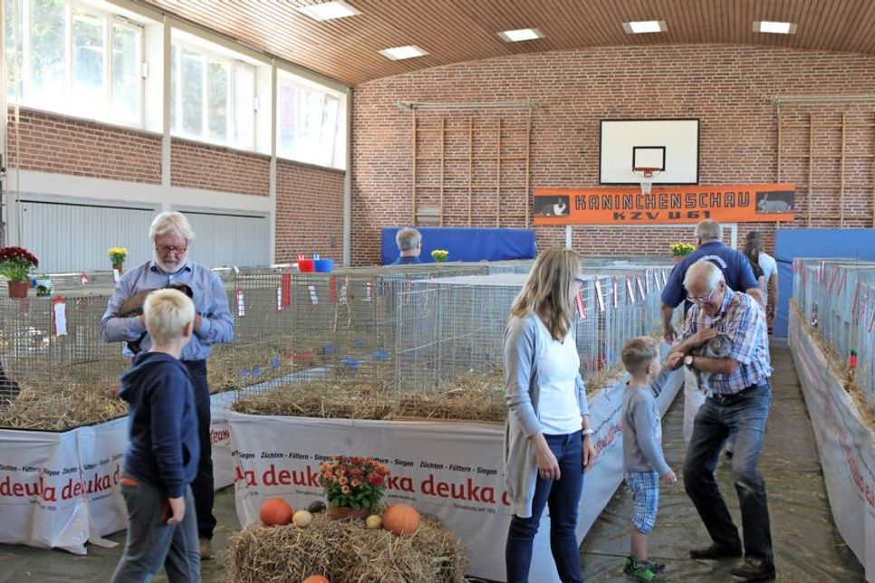 Die Züchter präsentieren wieder einmal ihre schönsten Kaninchen in der Sporthalle.
