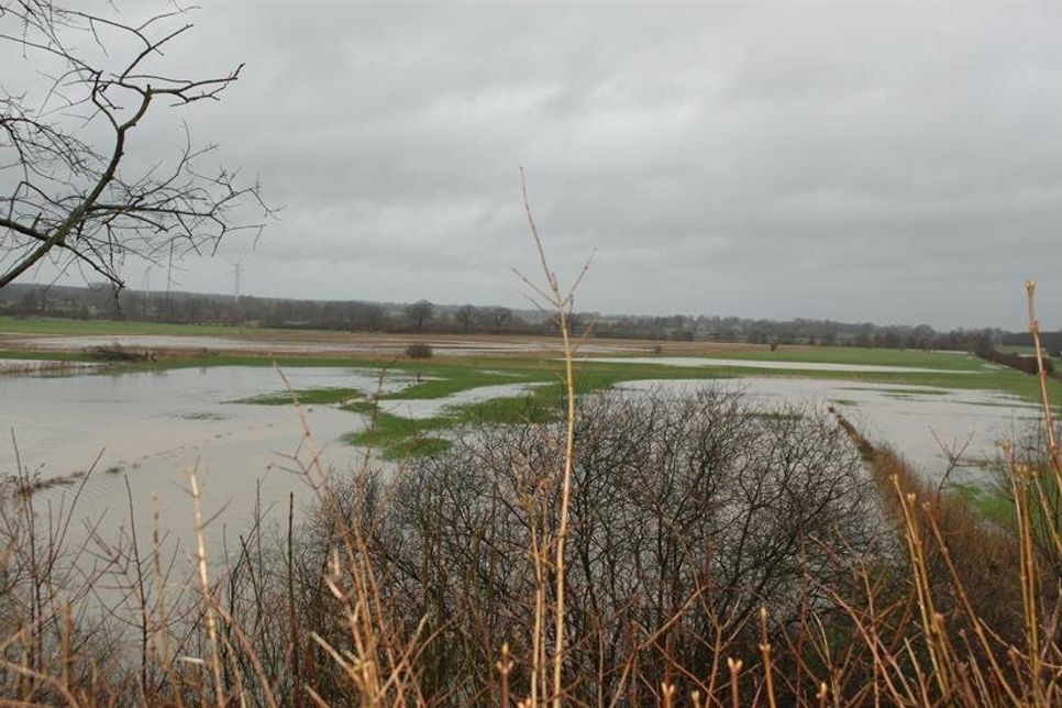 Wasserlandschaft in der Nähe von Logeberg.