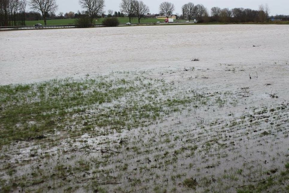An der A1 kurz vor der Ausfahrt Neustadt-Pelzerhaken.