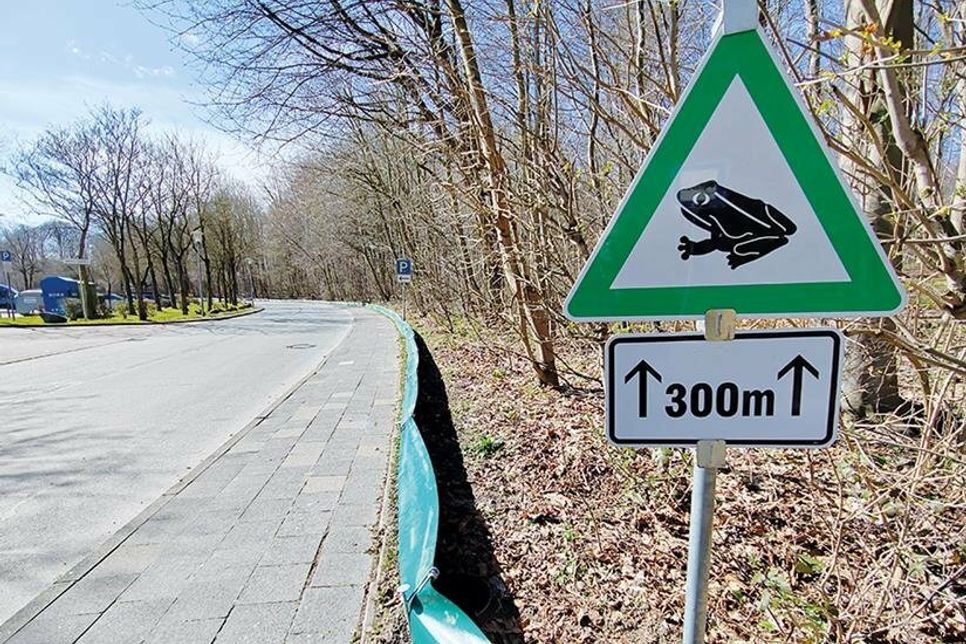 Entlang der Wohldstraße in Timmendorfer Strand wurde auf rund 300 Meter Länge wieder ein Krötenzaun errichtet.