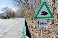 Entlang der Wohldstraße in Timmendorfer Strand wurde auf rund 300 Meter Länge wieder ein Krötenzaun errichtet.