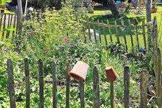 Familie Gerling ist mit ihrem Garten erstmals dabei.
