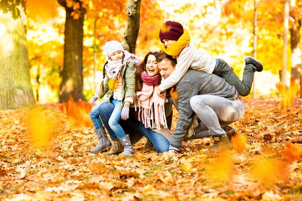 Nach einem schönen Waldspaziergang kann man sich bei einem schönen Stück Kuchen und einer heißen Schokolade stärken.