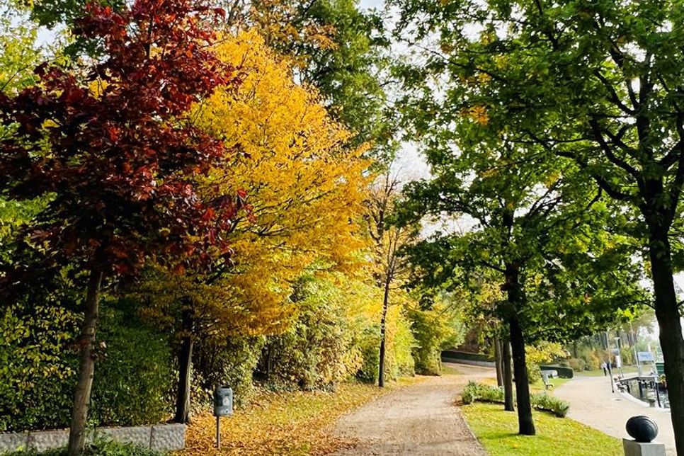 Die Promenaden, wie hier der Jungfernstieg in Neustadt, laden zu ausgedehnten Herbstspaziergängen ein.