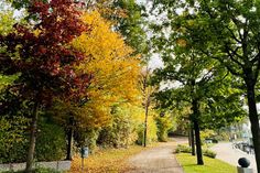 Die Promenaden, wie hier der Jungfernstieg in Neustadt, laden zu ausgedehnten Herbstspaziergängen ein.