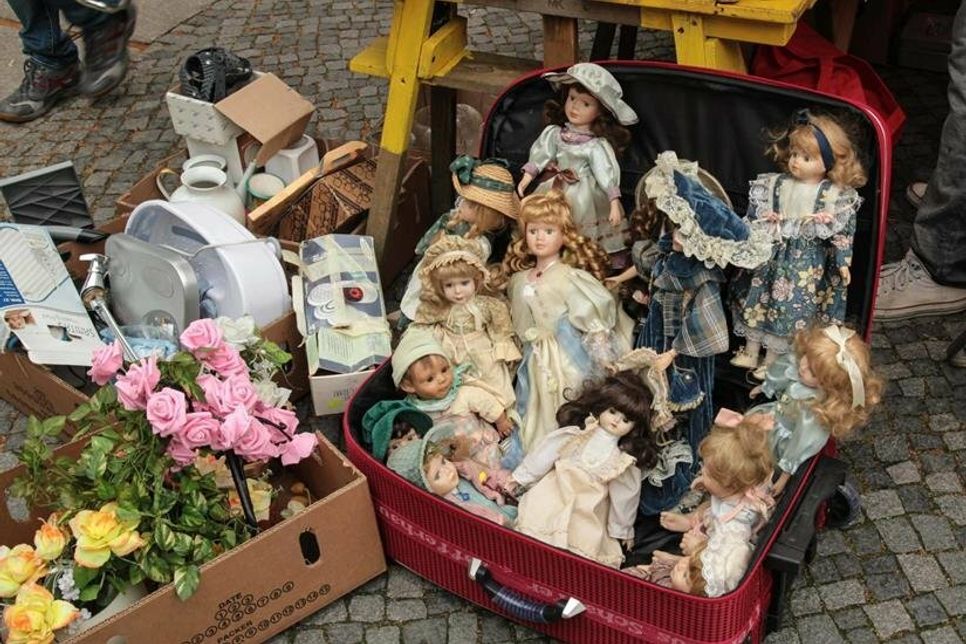 Es gibt viel zu entdecken auf den Wiesen des Museumshofes.