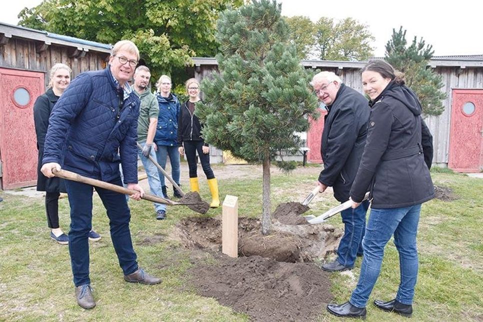 Andreas Müller und Frank Theunissen (2.v.li.) vom Fremdenverkehrsverein sowie Melanie Puschaddel-Freitag (re.), stv. Bürgermeisterin, pflanzen vor den Augen von Bürgervorsteherin Anja Evers (li.) und Nils Wenzlaff, Meike Jeromin und Annika Hermann vom Fachdienst „Bauverwaltung und Umweltschutz“ eine Waldkiefer ein.