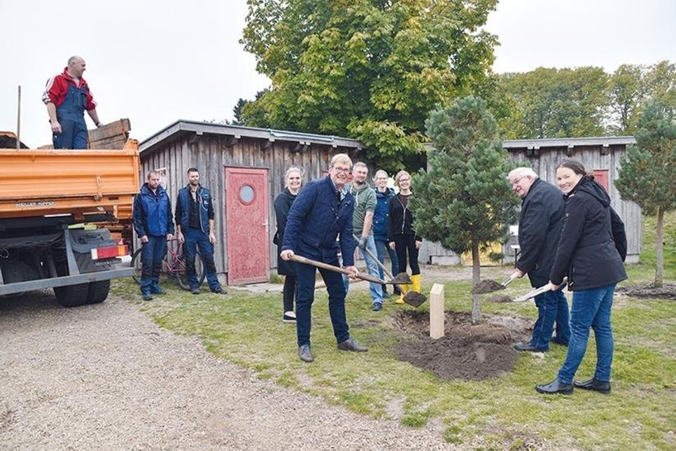 „Einheitsbuddeln“ im Niendorfer Hafen: Der Fremdenverkehrsverein Niendorf/Ostsee spendete für 3.000 Euro zehn Bäume für Niendorf.
