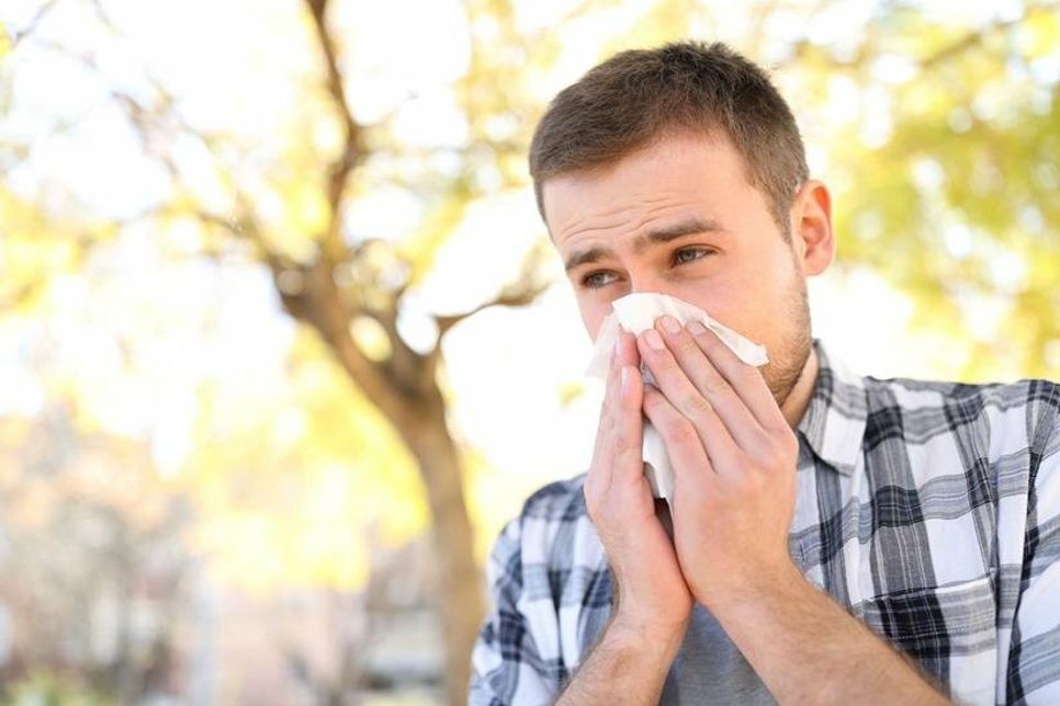 Mit den frühlingshafte Temperaturen fliegen die ersten Pollen und eröffnen für Allergiker im Kreis Ostholstein die Leidenszeit. Foto: AOK/hfr.