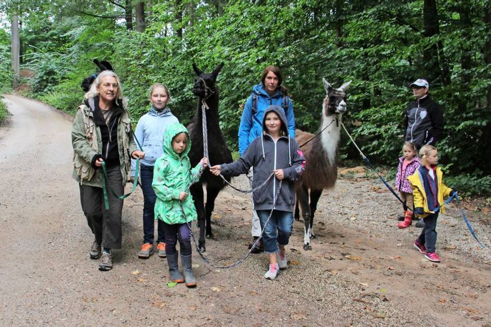 Mit der „Lama-Karawane“ aus Schönwalde ging es durch den Wald.