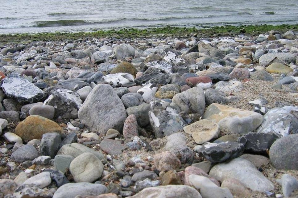 Die „Archäologische Sprechstunde“ im zeiTTor - Museum der Stadt Neustadt.