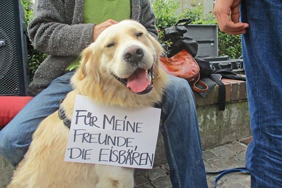 Auch Mio aus Zarnekau möchte unbedingt, dass endlich etwas passiert.