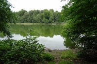 Verwunschenes Kleinod: der Kolksee.