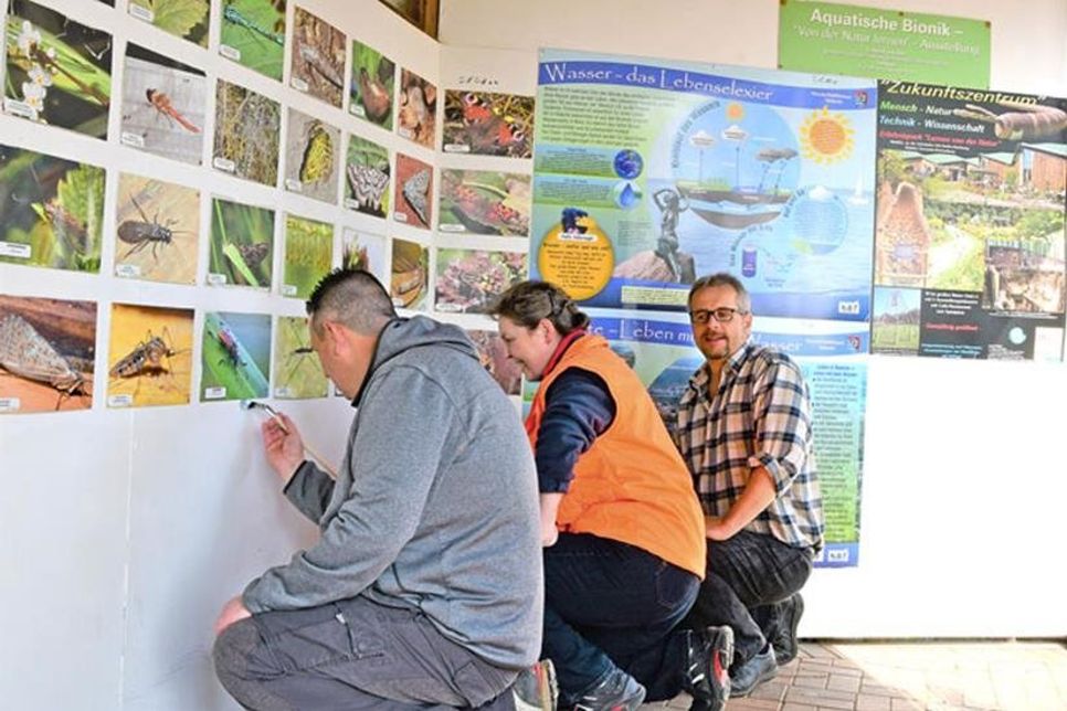 Neuer Farbanstrich im Info-Pavillon: Oliver Nöring, Bürgermeisterin Tanja Rönck, Timm Witthohn (v.li.)