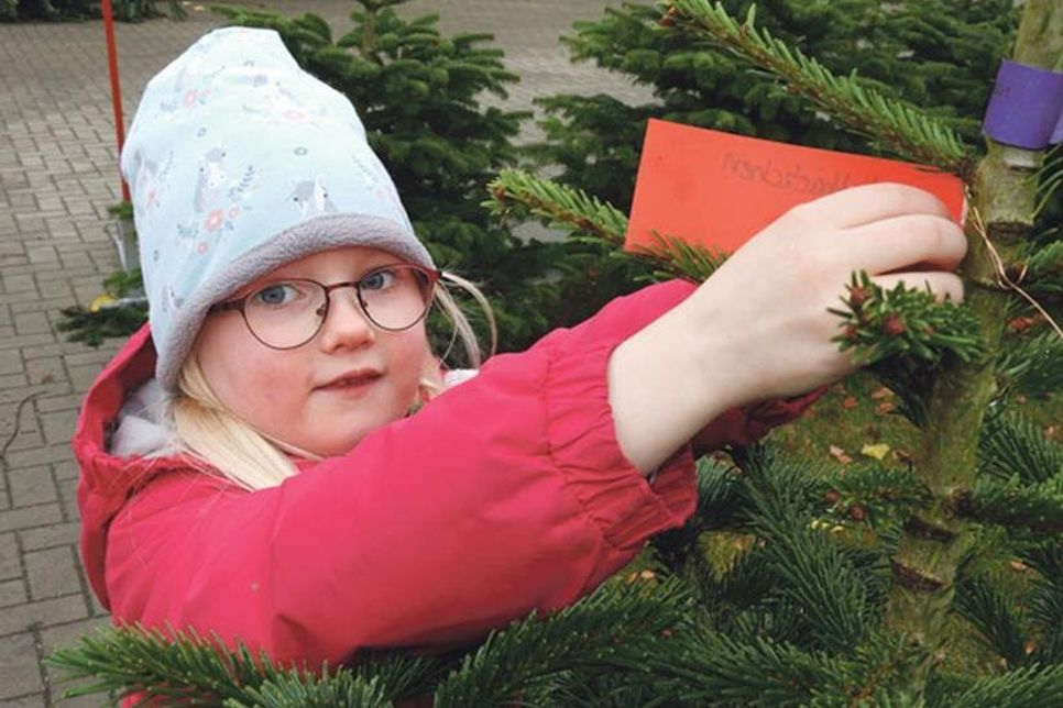 „Das ist unser!“ Mara markierte den baum für das „Nesthäkchen“.
